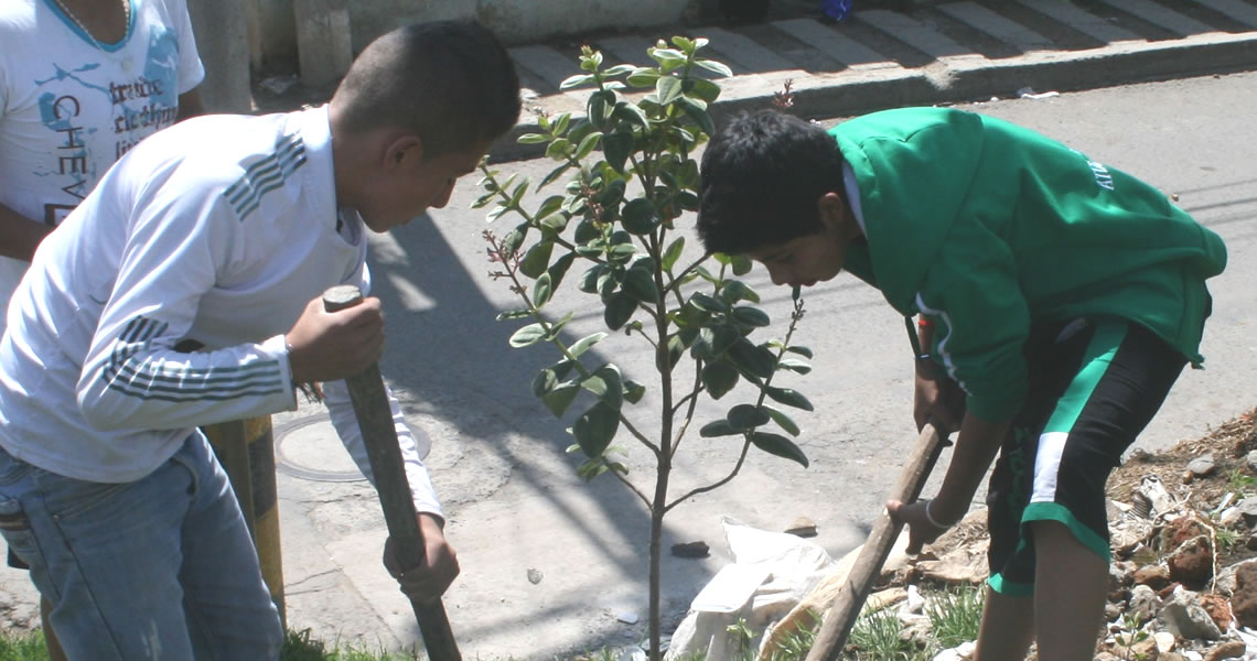 Fundación Comuniquemos su Misericordia